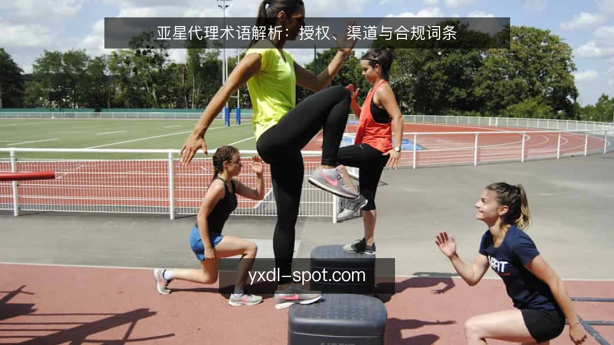 亚星代理术语解析:授权、渠道与合规词条