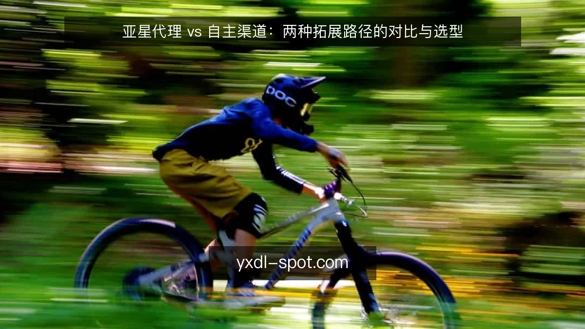 亚星代理 vs 自主渠道:两种拓展路径的对比与选型